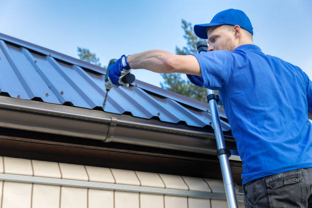 Skylights in South Miami Heights, FL